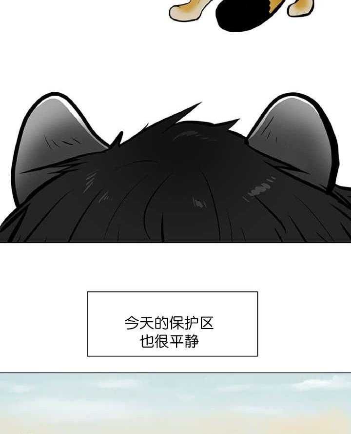 《旷野之息（共2季）》漫画最新章节第11话_狮子免费下拉式在线观看章节第【7】张图片