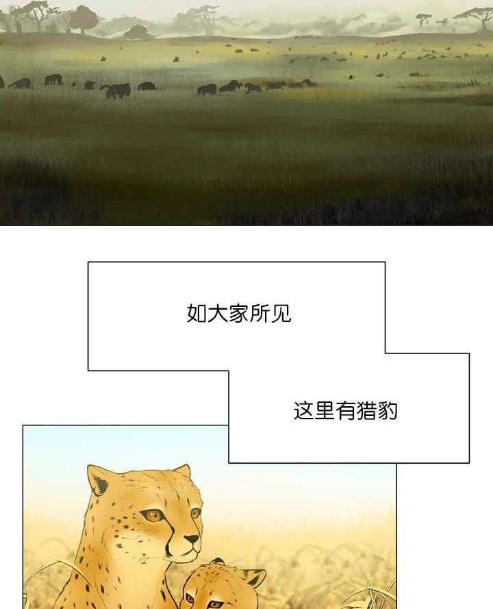 《旷野之息（共2季）》漫画最新章节第11话_狮子免费下拉式在线观看章节第【6】张图片