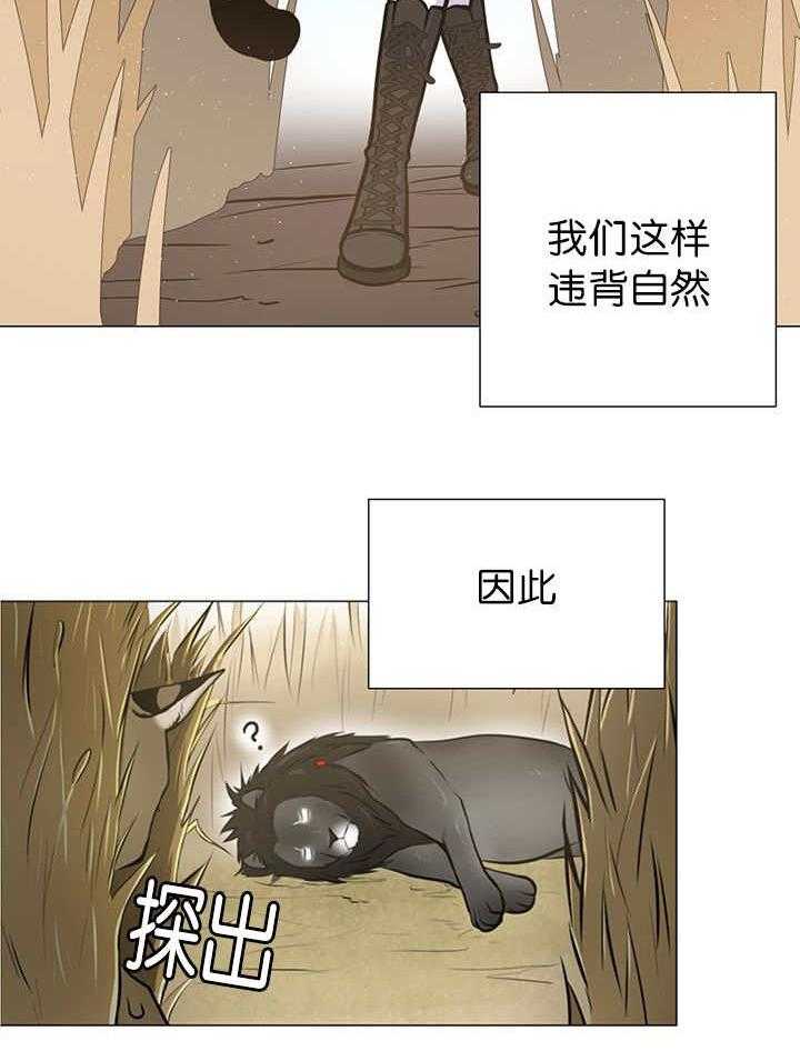 《旷野之息（共2季）》漫画最新章节第11话_狮子免费下拉式在线观看章节第【10】张图片