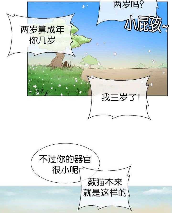 《旷野之息（共2季）》漫画最新章节第13话_只给重要的人免费下拉式在线观看章节第【19】张图片