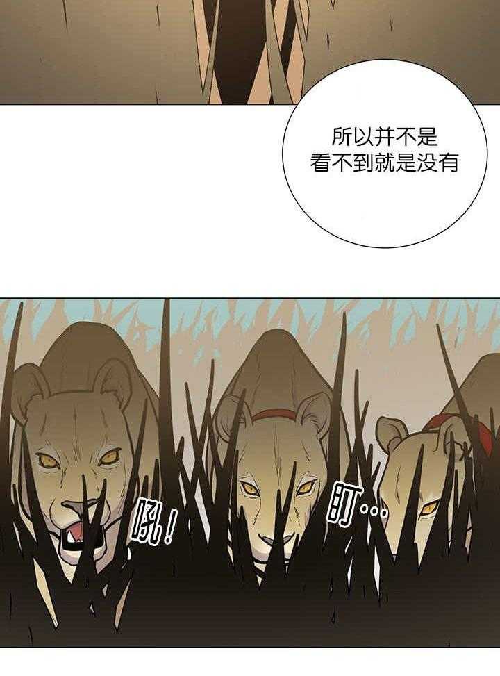 《旷野之息（共2季）》漫画最新章节第14话_母狮群免费下拉式在线观看章节第【10】张图片