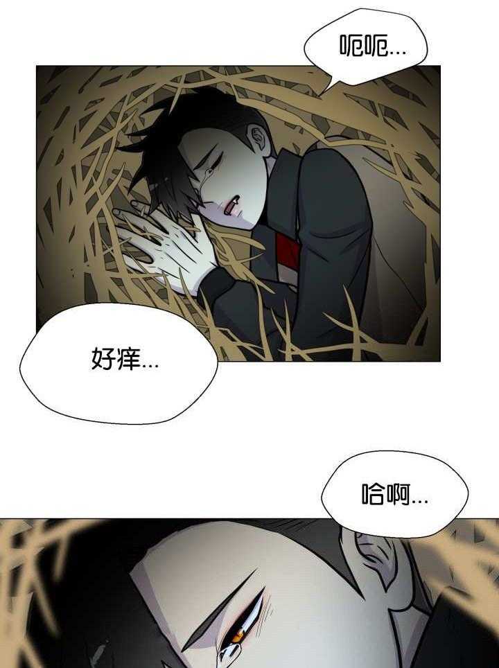 《旷野之息（共2季）》漫画最新章节第37话_我喜欢免费下拉式在线观看章节第【26】张图片