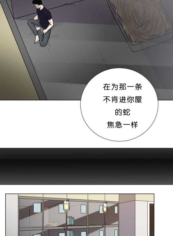 《旷野之息（共2季）》漫画最新章节第39话_这是谎言吧免费下拉式在线观看章节第【16】张图片