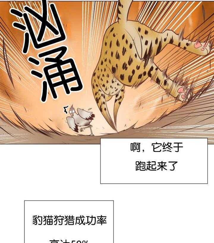 《旷野之息（共2季）》漫画最新章节第43话_寂静之下免费下拉式在线观看章节第【2】张图片