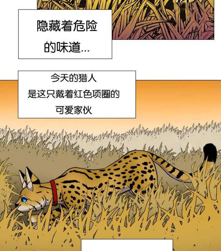 《旷野之息（共2季）》漫画最新章节第43话_寂静之下免费下拉式在线观看章节第【4】张图片