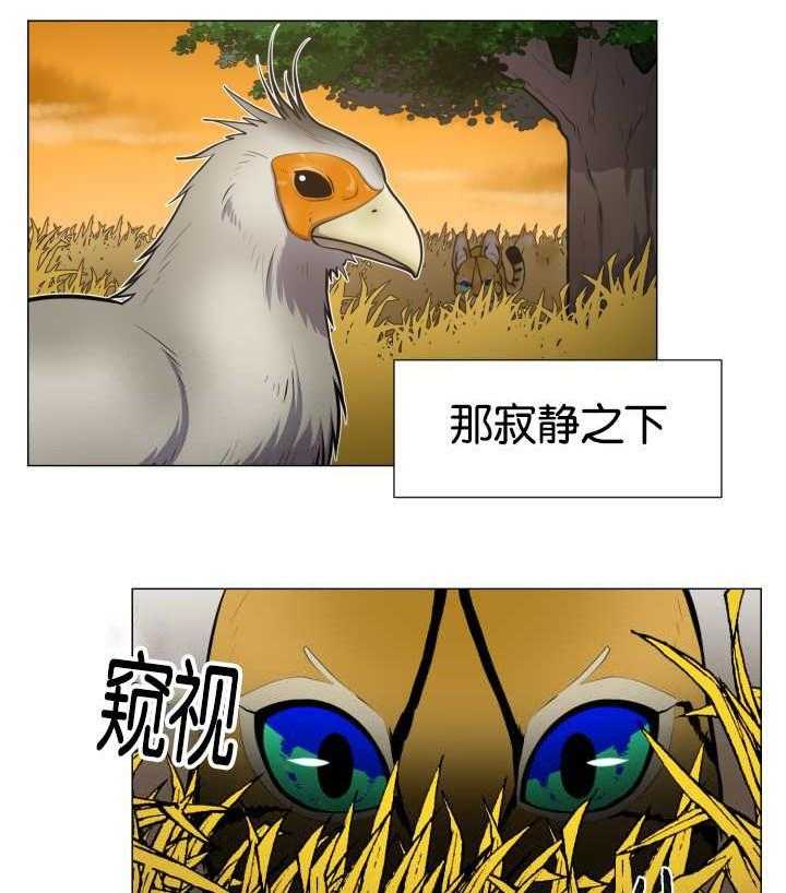 《旷野之息（共2季）》漫画最新章节第43话_寂静之下免费下拉式在线观看章节第【5】张图片