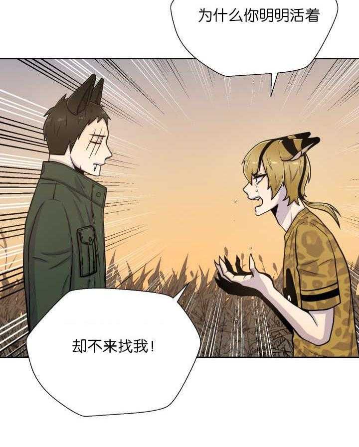 《旷野之息（共2季）》漫画最新章节第66话_为什么免费下拉式在线观看章节第【2】张图片