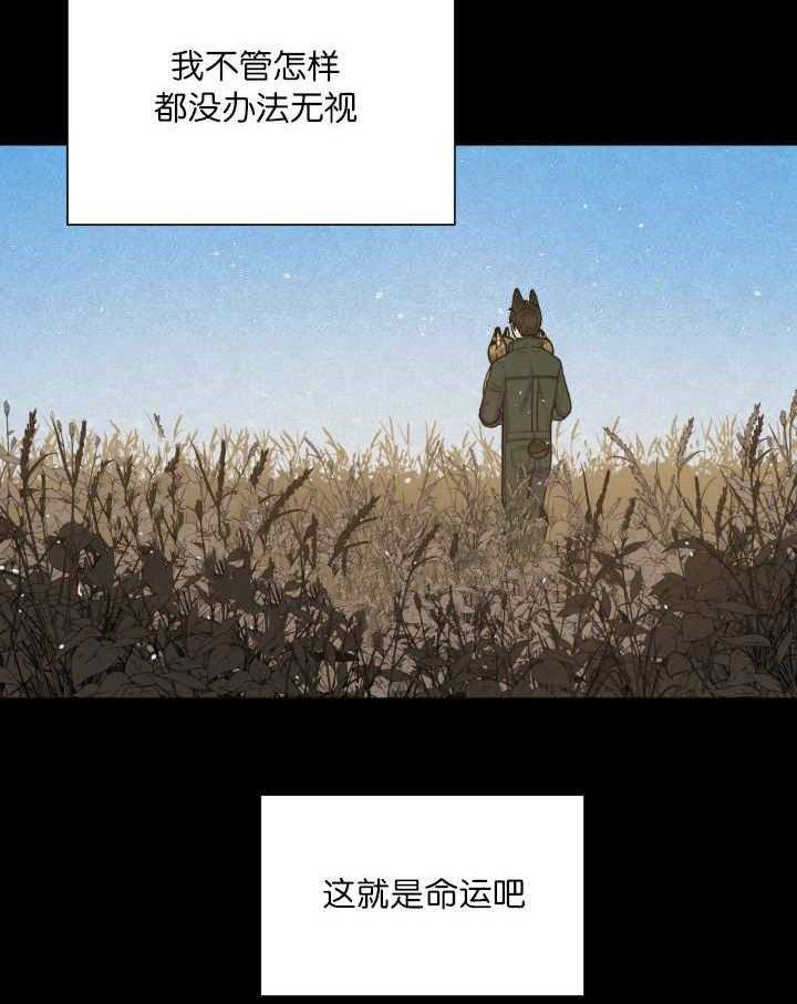 《旷野之息（共2季）》漫画最新章节第69话_一直很想你免费下拉式在线观看章节第【29】张图片