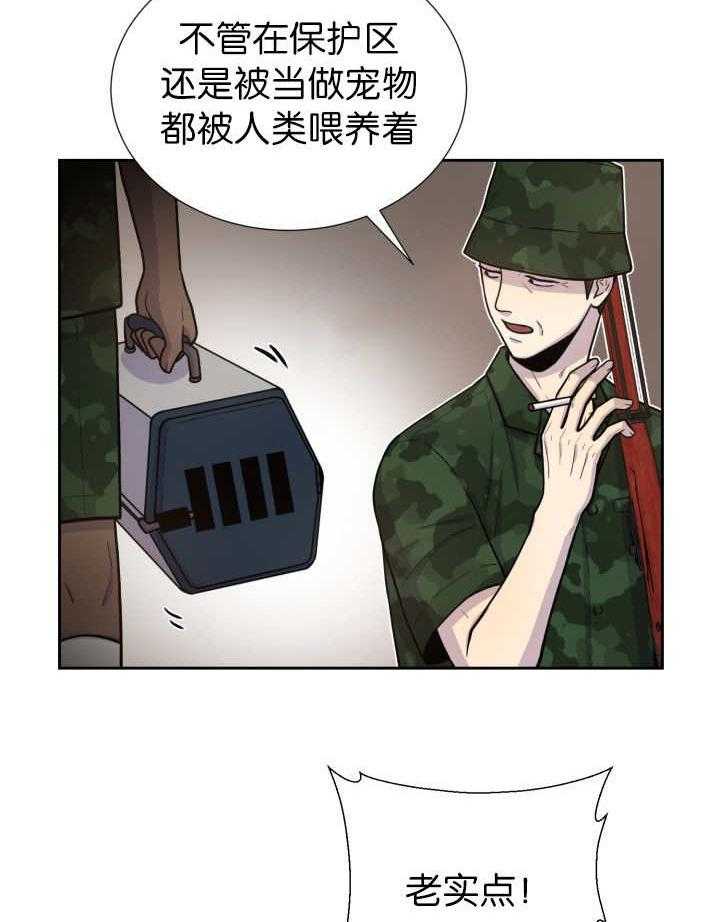 《旷野之息（共2季）》漫画最新章节第81话_找寻免费下拉式在线观看章节第【18】张图片