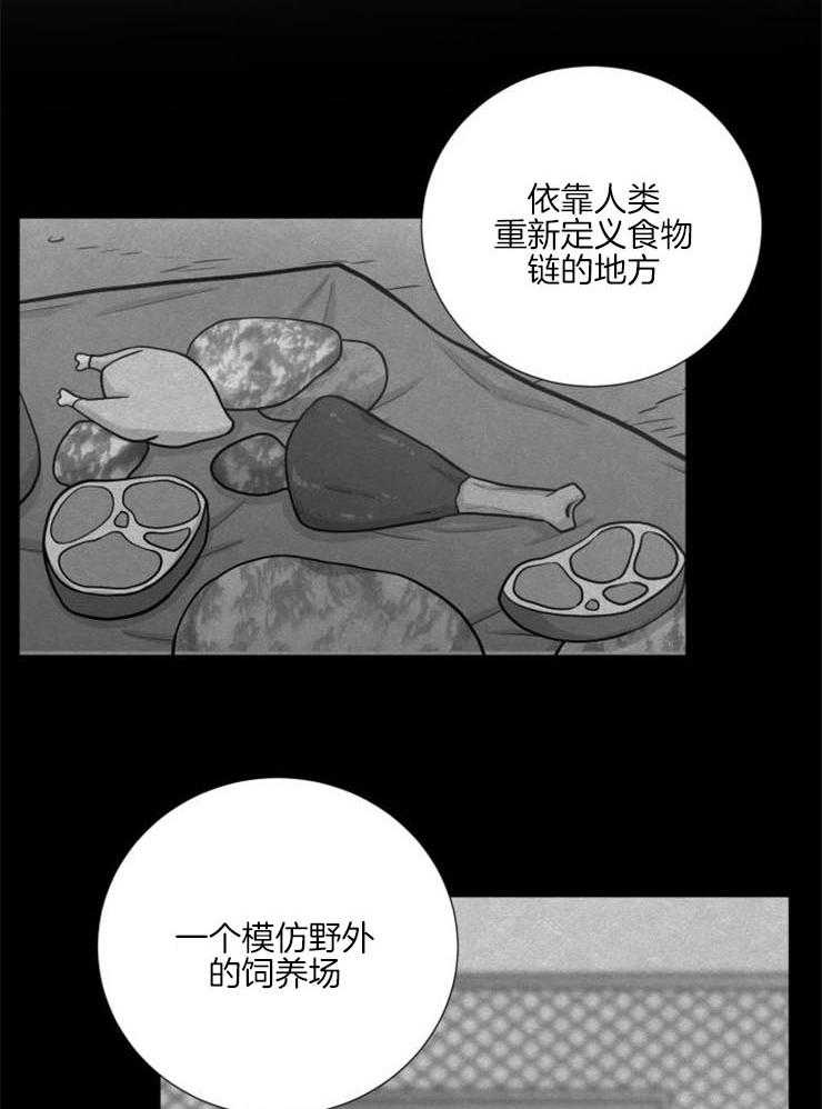 《旷野之息（共2季）》漫画最新章节第89话_这不是你该走的路免费下拉式在线观看章节第【13】张图片