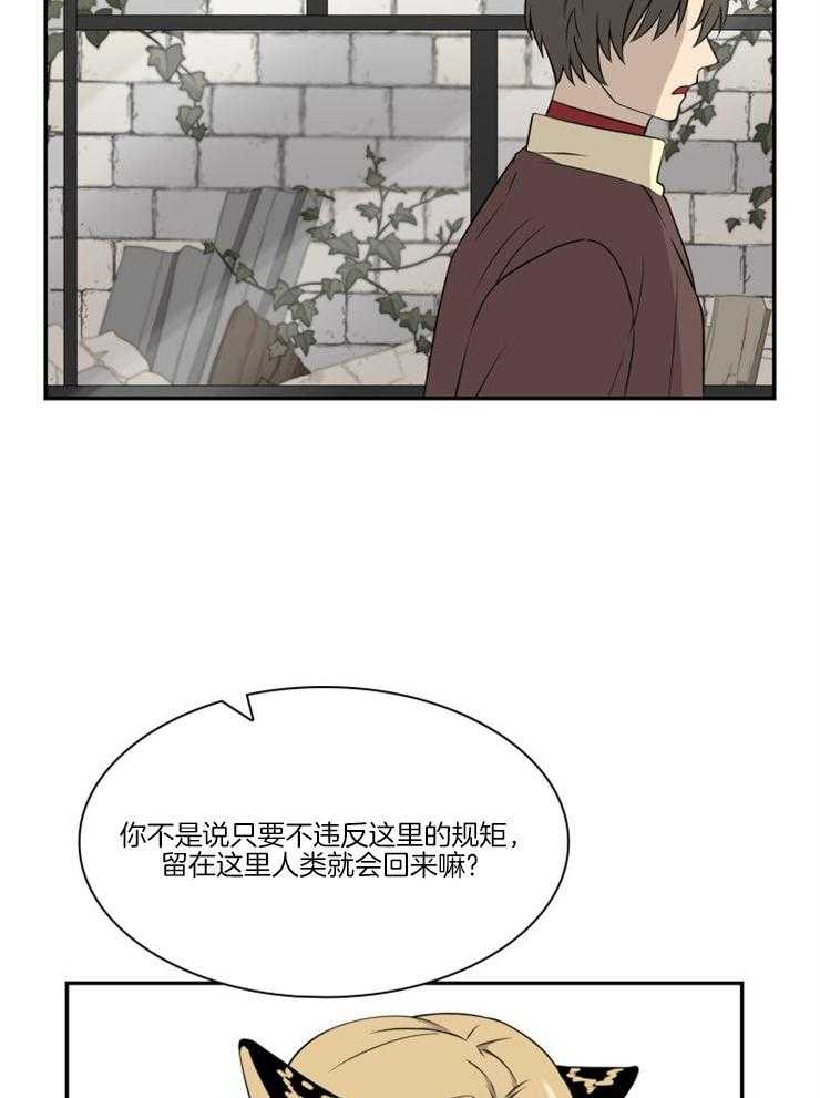 《旷野之息（共2季）》漫画最新章节第97话_保护这个地方免费下拉式在线观看章节第【18】张图片