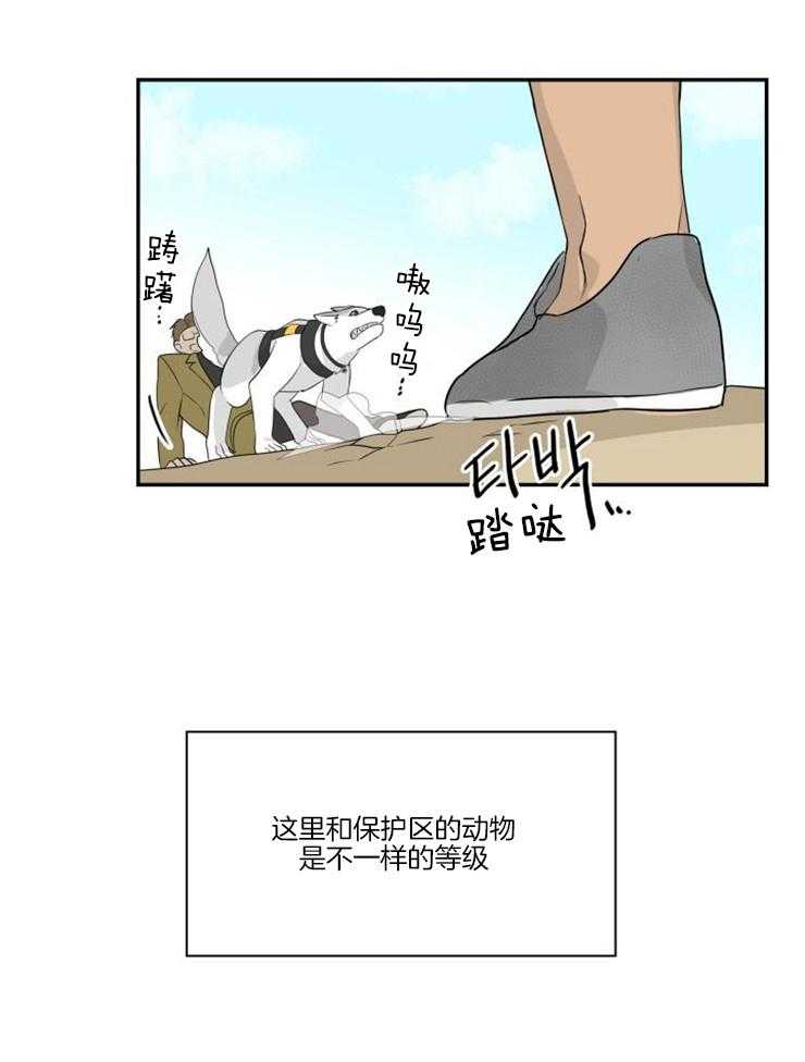 《旷野之息（共2季）》漫画最新章节第98话_陷入危机免费下拉式在线观看章节第【6】张图片