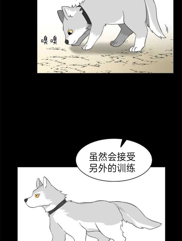 《旷野之息（共2季）》漫画最新章节第101话_快回答问题免费下拉式在线观看章节第【22】张图片