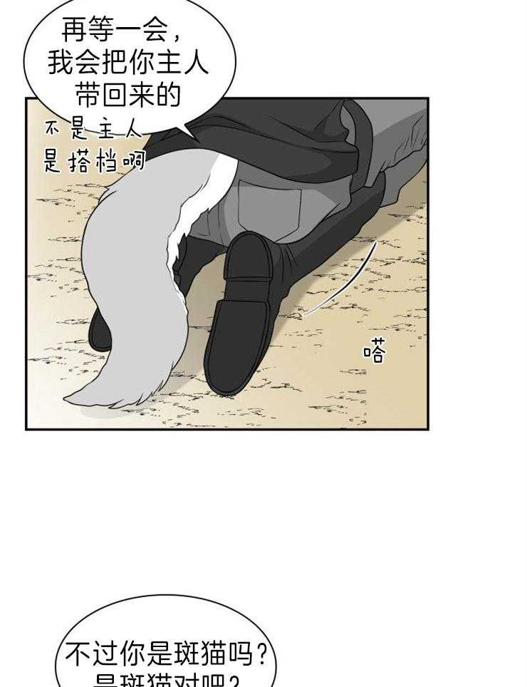 《旷野之息（共2季）》漫画最新章节第103话_你现在在做什么免费下拉式在线观看章节第【17】张图片