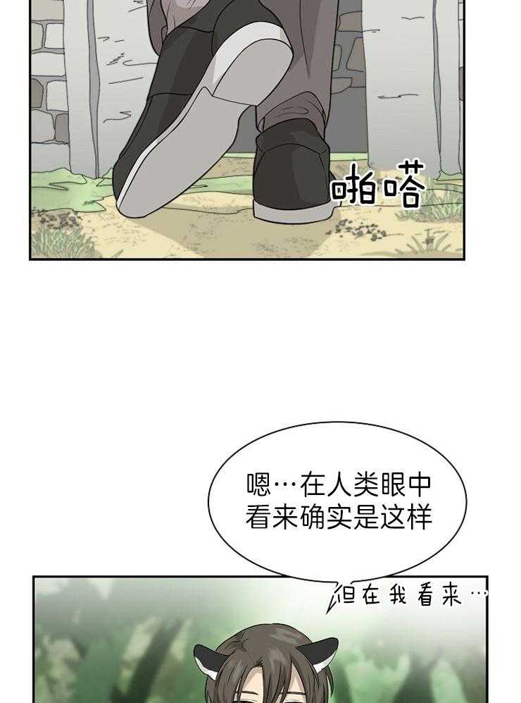 《旷野之息（共2季）》漫画最新章节第119话_花猫性格这么差吗免费下拉式在线观看章节第【26】张图片