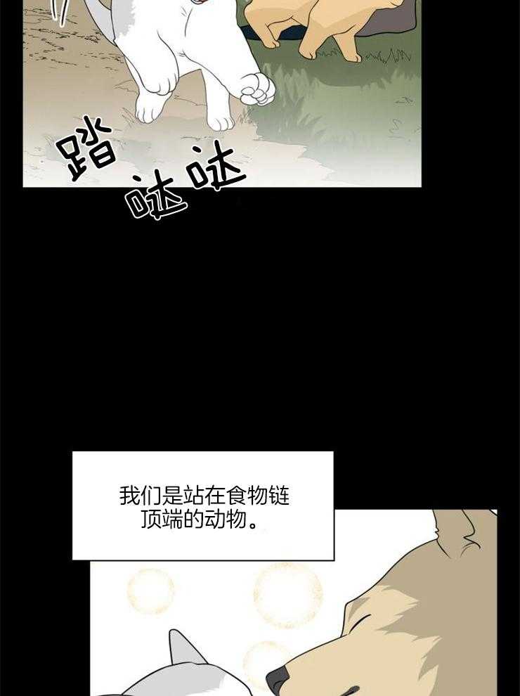 《旷野之息（共2季）》漫画最新章节第121话_要学会区分免费下拉式在线观看章节第【6】张图片