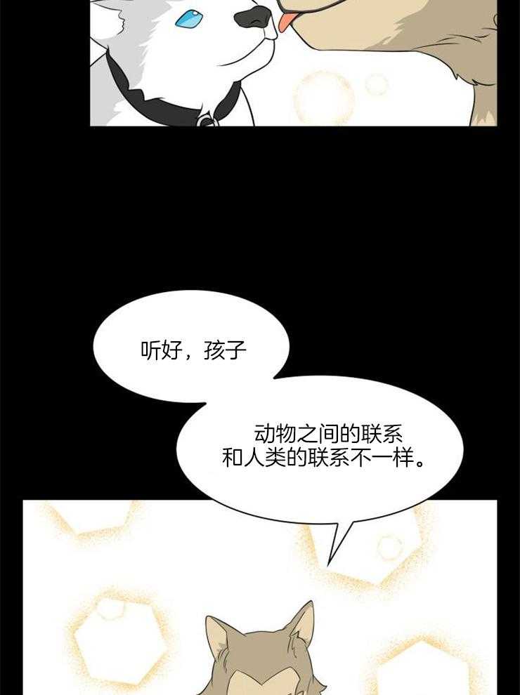 《旷野之息（共2季）》漫画最新章节第121话_要学会区分免费下拉式在线观看章节第【5】张图片