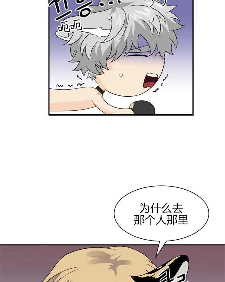 《旷野之息（共2季）》漫画最新章节第135话_就像家人一样免费下拉式在线观看章节第【16】张图片