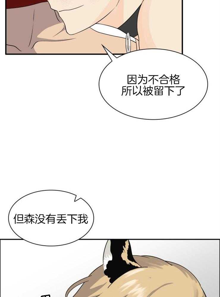 《旷野之息（共2季）》漫画最新章节第136话_特别免费下拉式在线观看章节第【21】张图片