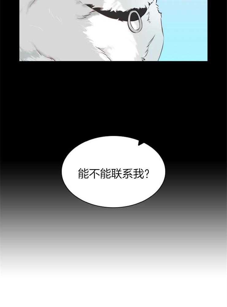 《旷野之息（共2季）》漫画最新章节第136话_特别免费下拉式在线观看章节第【24】张图片