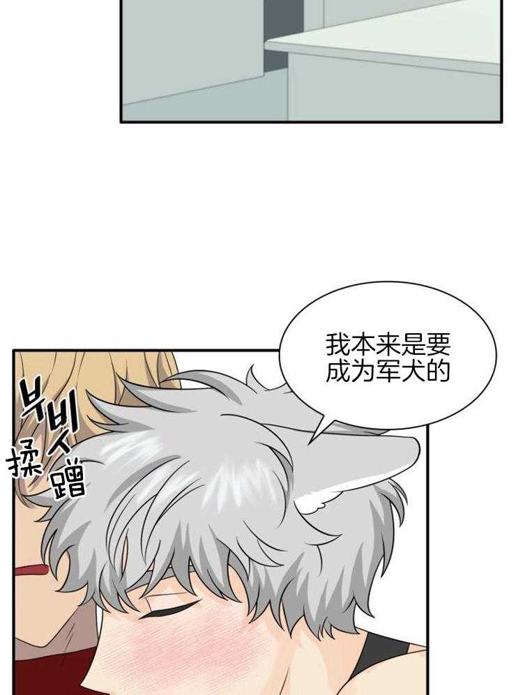 《旷野之息（共2季）》漫画最新章节第136话_特别免费下拉式在线观看章节第【22】张图片