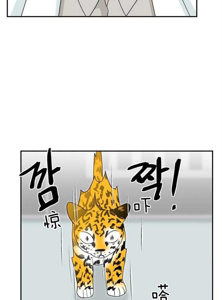 《旷野之息（共2季）》漫画最新章节第137话_马上就会到免费下拉式在线观看章节第【27】张图片