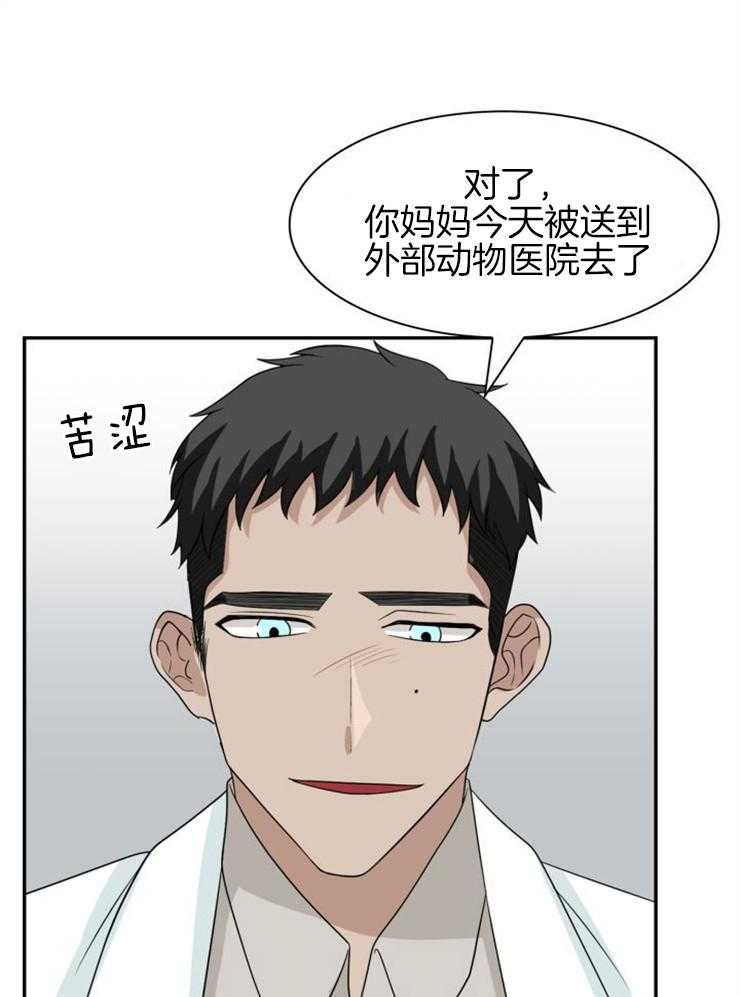 《旷野之息（共2季）》漫画最新章节第137话_马上就会到免费下拉式在线观看章节第【28】张图片