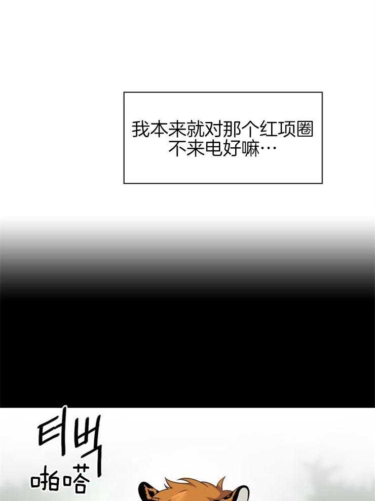 《旷野之息（共2季）》漫画最新章节第141话_口是心非免费下拉式在线观看章节第【18】张图片