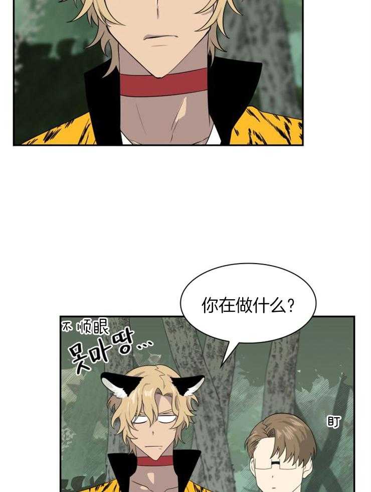 《旷野之息（共2季）》漫画最新章节第145话_意图是什么免费下拉式在线观看章节第【11】张图片