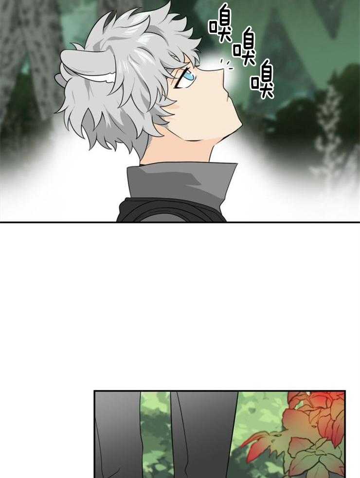 《旷野之息（共2季）》漫画最新章节第145话_意图是什么免费下拉式在线观看章节第【13】张图片