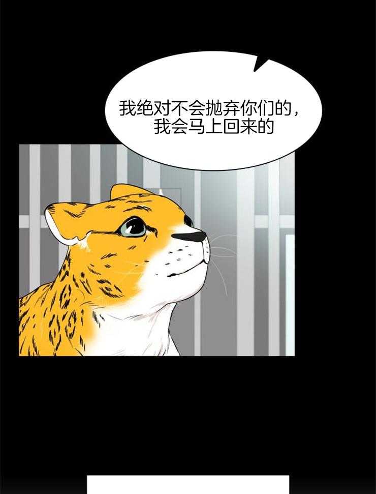 《旷野之息（共2季）》漫画最新章节第146话_由我来决定免费下拉式在线观看章节第【7】张图片