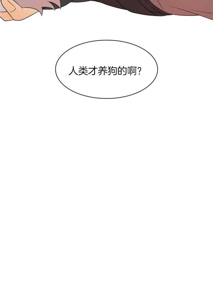 《旷野之息（共2季）》漫画最新章节第147话_就是因为这样免费下拉式在线观看章节第【1】张图片