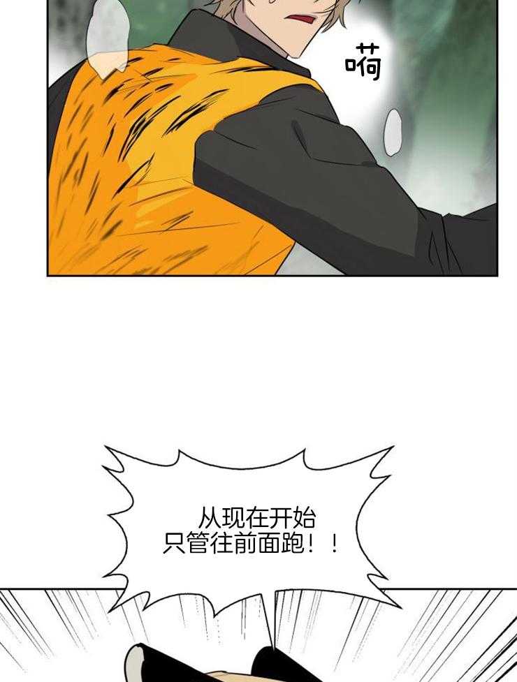 《旷野之息（共2季）》漫画最新章节第156话_两只捷豹免费下拉式在线观看章节第【19】张图片