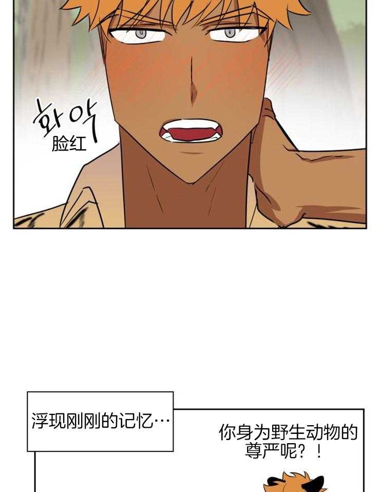 《旷野之息（共2季）》漫画最新章节第158话_幻觉草免费下拉式在线观看章节第【3】张图片