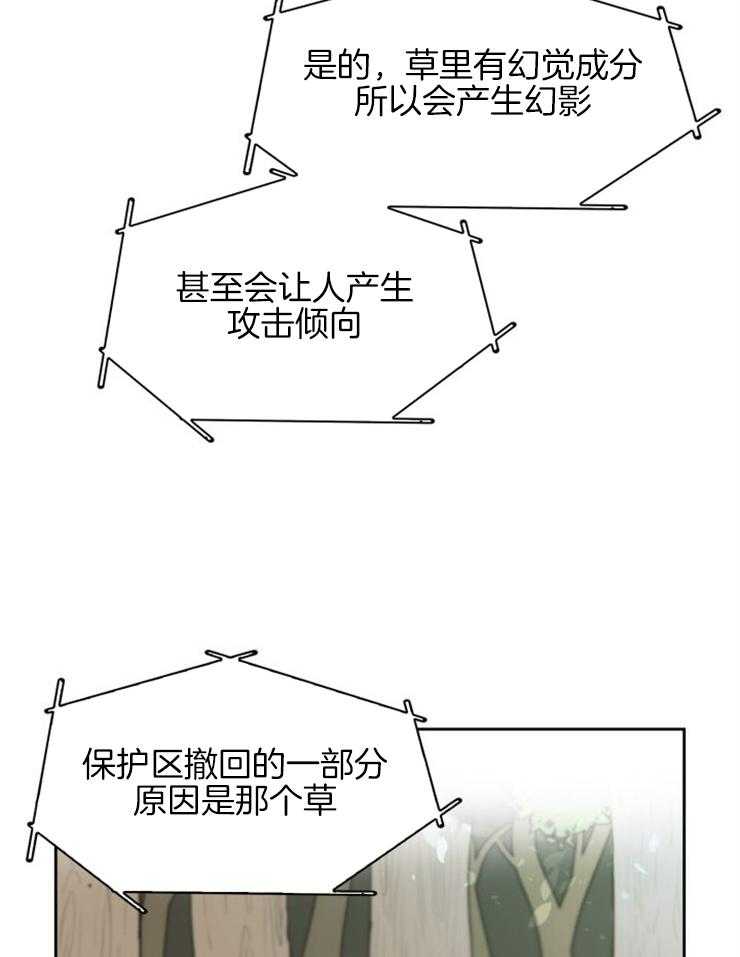 《旷野之息（共2季）》漫画最新章节第158话_幻觉草免费下拉式在线观看章节第【15】张图片