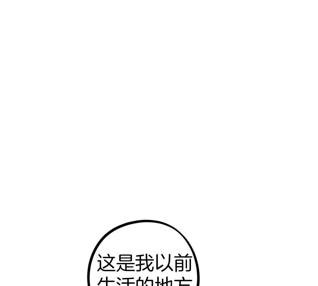 《兔子今天掉马了吗》漫画最新章节第55话_拒绝免费下拉式在线观看章节第【41】张图片