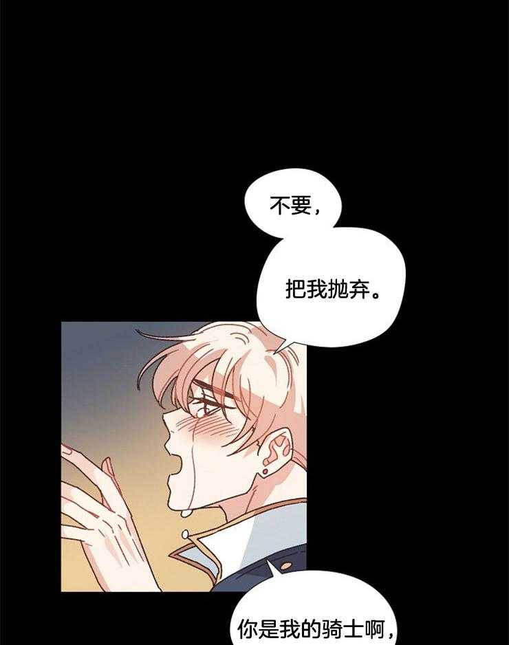 《属于我的骑士》漫画最新章节第48话_你是我的免费下拉式在线观看章节第【17】张图片