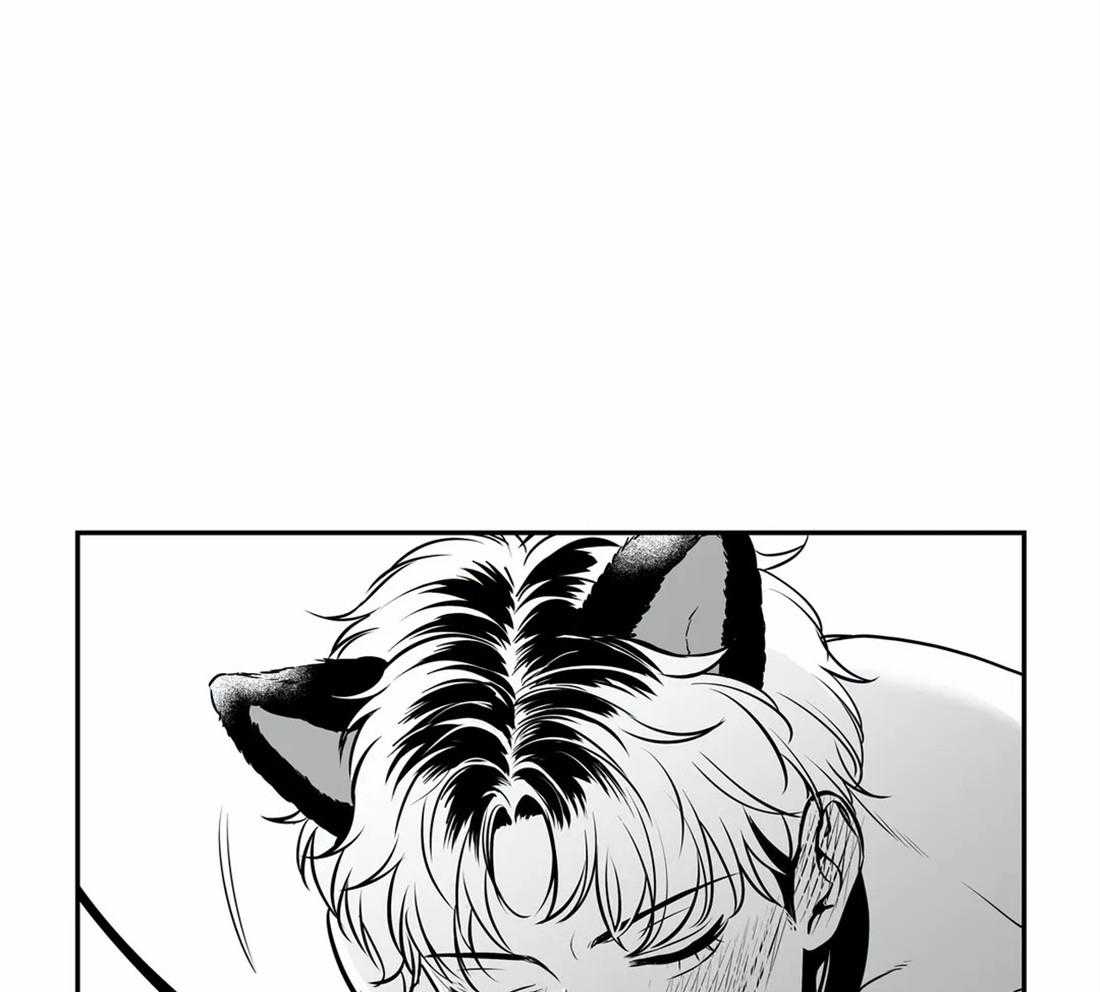 《我的主播男友（全集&番外）》漫画最新章节第145话_小猫咪免费下拉式在线观看章节第【33】张图片