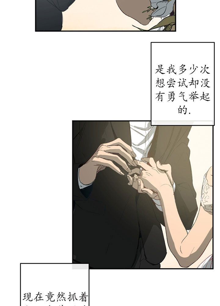 《同情的形式（共3季）》漫画最新章节第1话_结束了免费下拉式在线观看章节第【8】张图片