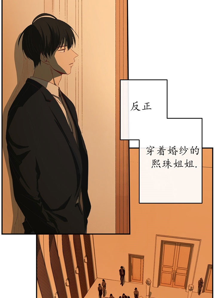 《同情的形式（共3季）》漫画最新章节第1话_结束了免费下拉式在线观看章节第【13】张图片