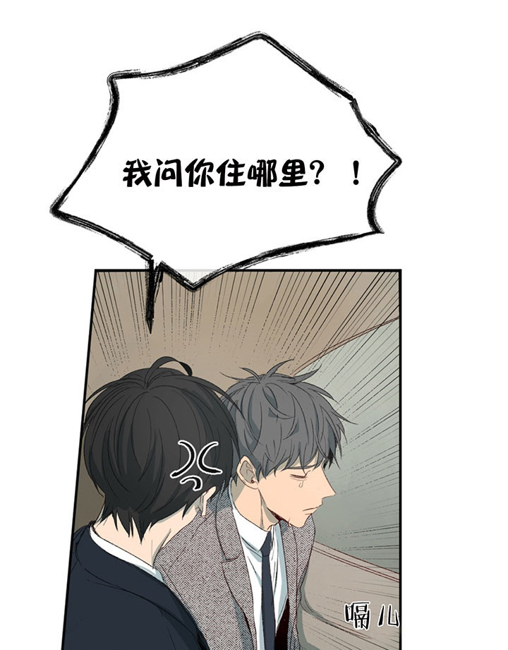 《同情的形式（共3季）》漫画最新章节第3话_疯了免费下拉式在线观看章节第【47】张图片