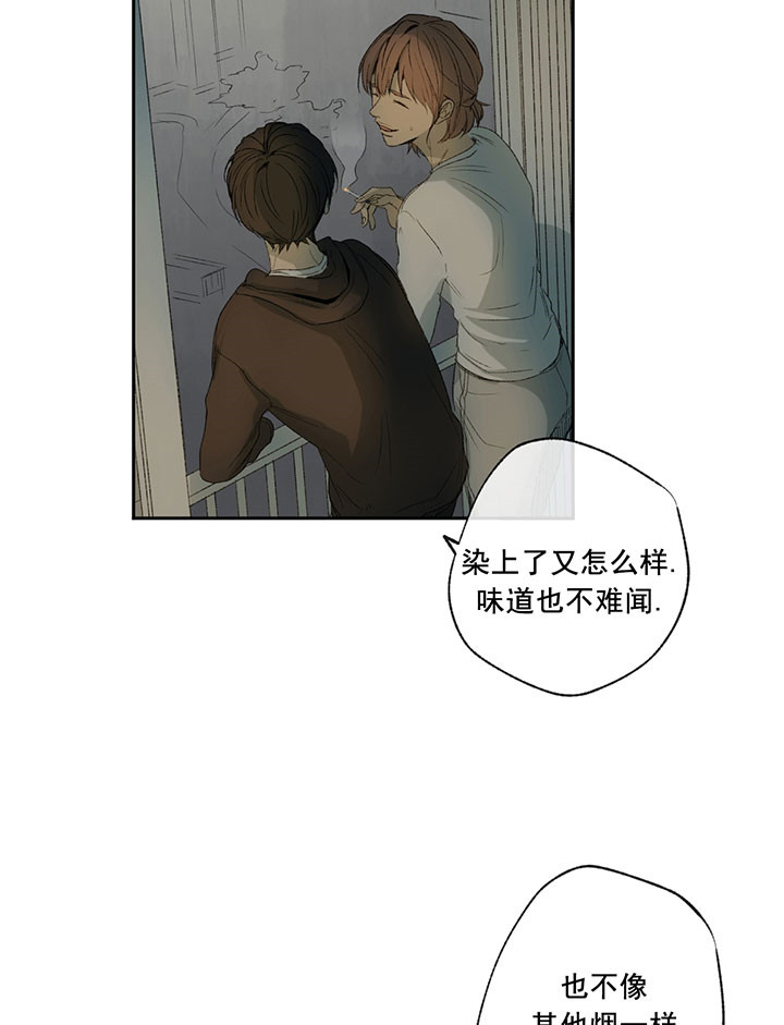 《同情的形式（共3季）》漫画最新章节第12话_秘密免费下拉式在线观看章节第【18】张图片