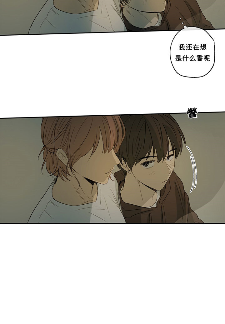 《同情的形式（共3季）》漫画最新章节第12话_秘密免费下拉式在线观看章节第【13】张图片