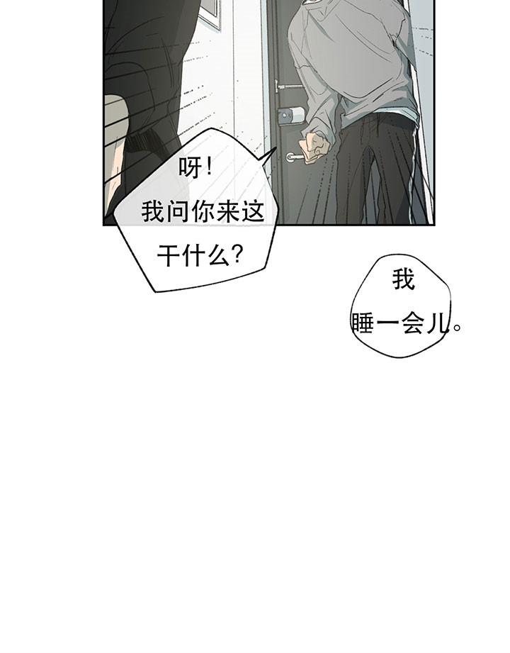 《同情的形式（共3季）》漫画最新章节第13话_捉弄免费下拉式在线观看章节第【13】张图片