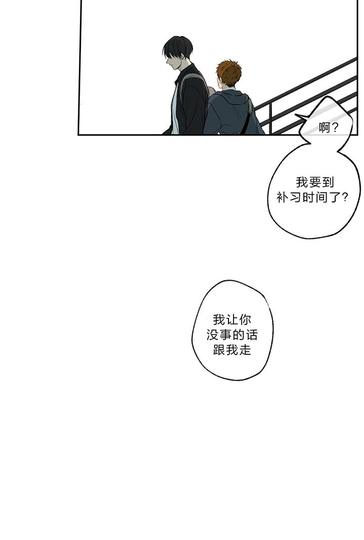 《同情的形式（共3季）》漫画最新章节第16话_离开免费下拉式在线观看章节第【6】张图片