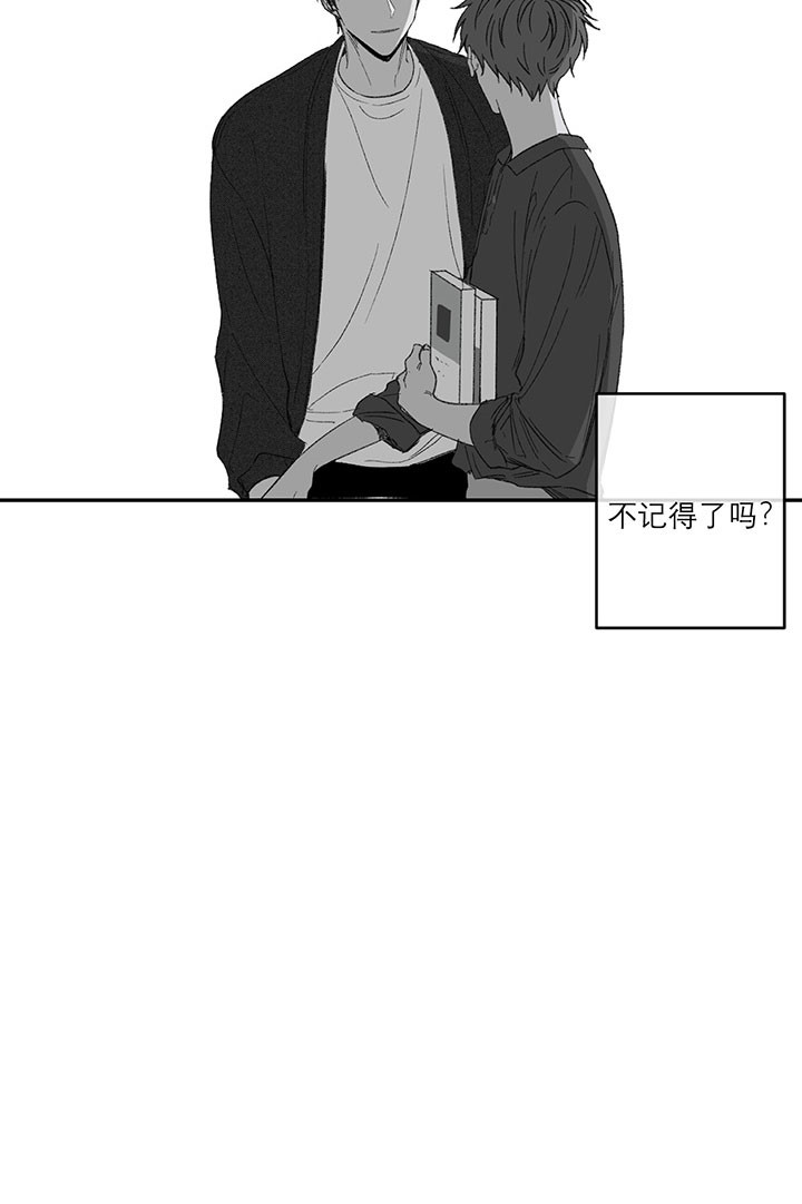 《同情的形式（共3季）》漫画最新章节第26话_藏身之处免费下拉式在线观看章节第【19】张图片