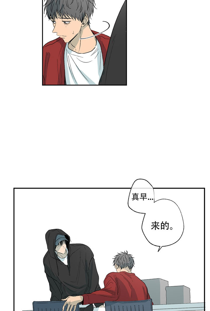 《同情的形式（共3季）》漫画最新章节第26话_藏身之处免费下拉式在线观看章节第【8】张图片