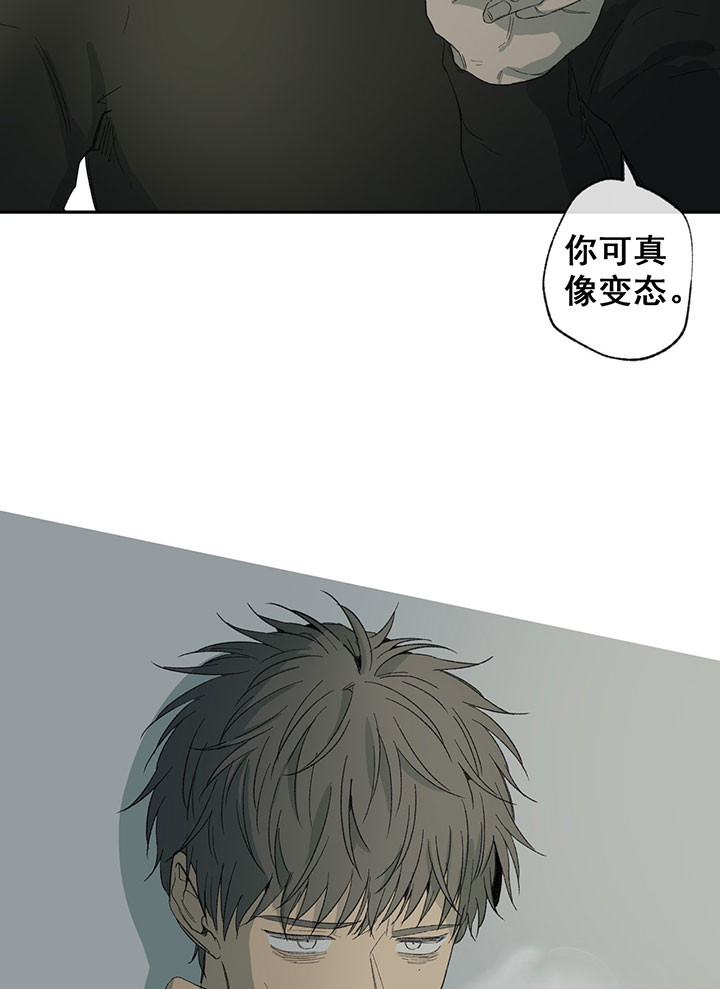 《同情的形式（共3季）》漫画最新章节第39话_替身免费下拉式在线观看章节第【3】张图片