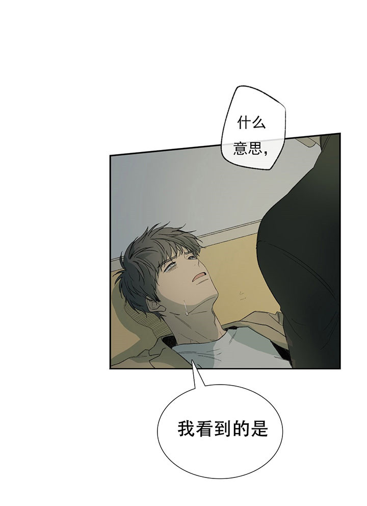 《同情的形式（共3季）》漫画最新章节第41话_不伦免费下拉式在线观看章节第【4】张图片