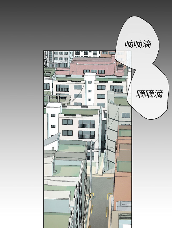 《同情的形式（共3季）》漫画最新章节第48话_他的想法免费下拉式在线观看章节第【12】张图片